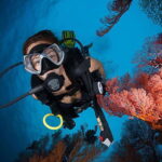 Bohol island: Fun dive local dive - What to Expect on the Day
