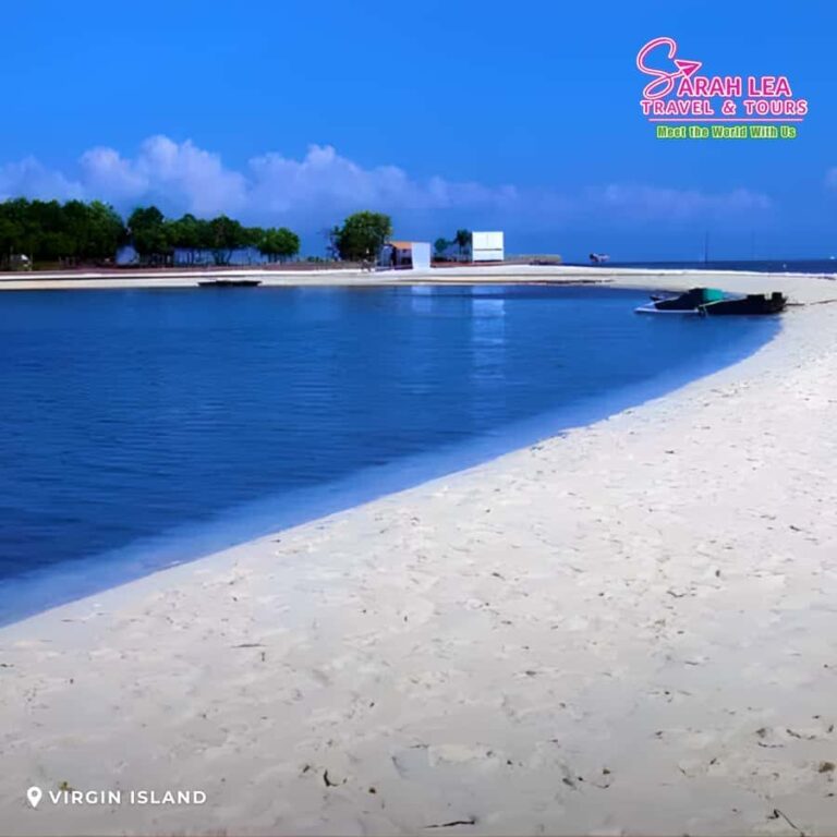 Bohol: Island Hopping with Dolphins, Turtles & Snorkeling - Detailed Breakdown of the Tour