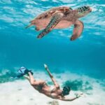 Bohol: Island Hopping with Snorkeling at Balicasag Island - What to Expect from This Tour