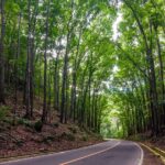 Bohol Private Chocolate Hills Tour with Loboc River Buffet Lunch - Value and Pricing