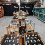 Bohol: PRIVATE Panglao Land Tour - The Detailed Itinerary