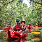 Bohol: SUSTAINABLE Mangrove Tunnels & Firefly Kayaking trail - Who Will Love This Tour?