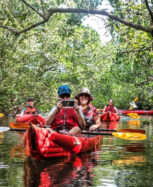 Bohol: SUSTAINABLE Mangrove Tunnels & Firefly Kayaking trail - Who Will Love This Tour?