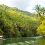 Bohol Whaleshark Watching with Loboc River Lunch - Why This Tour Is Worth Considering