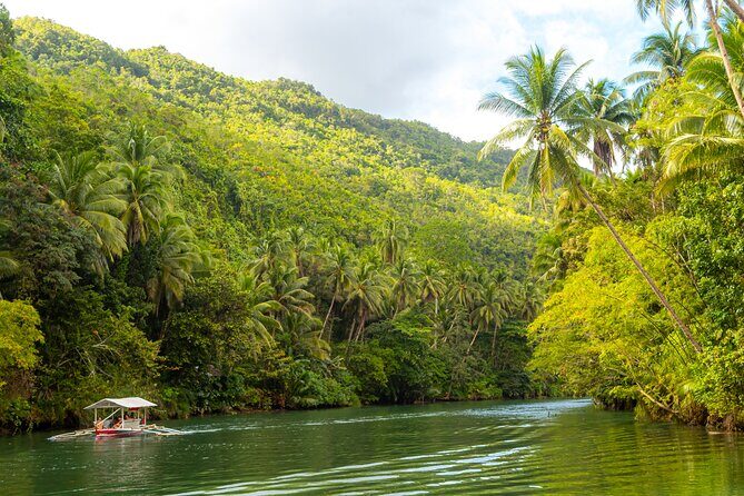 Bohol Whaleshark Watching with Loboc River Lunch - Why This Tour Is Worth Considering