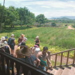 Bokor national park and countryside tour include Pepper farm - Practicalities and Value