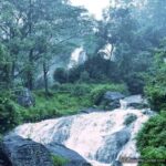 Bomburella Waterfalls, Lovers Leap & Pedro Tea Factory Tour - What Makes This Tour Special?