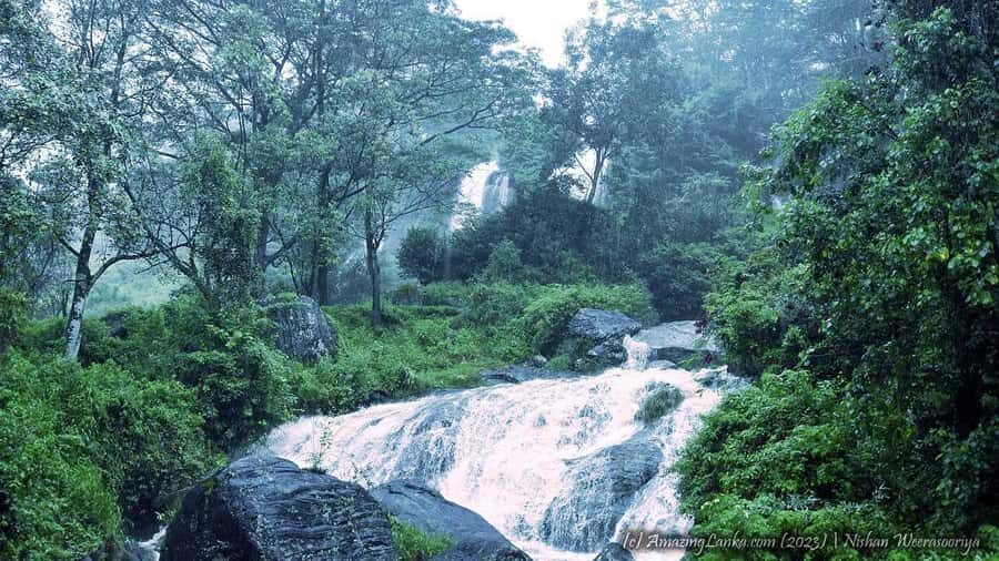 Bomburella Waterfalls, Lovers Leap & Pedro Tea Factory Tour - What Makes This Tour Special?