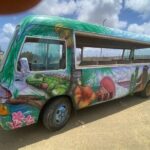 Bonaire 2 hour Island Tour & 2 hour Beach Stay - Practical Details and Tips