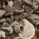 Bonaire Beachcombing and Sea Glass Private Tour - Who Is This Tour Best For?