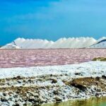 Bonaire City Tour Chubatu - Practical Details and What to Expect