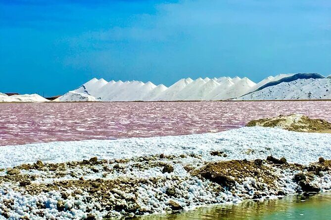 Bonaire City Tour Chubatu - Practical Details and What to Expect