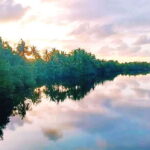 Bongawan Wetland: Proboscis Monkey and Fireflies Shared Tour - Exploring the Itinerary