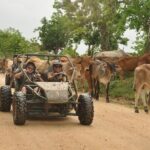 Boogies Bayahibe Adventure - What’s Included and What’s Not