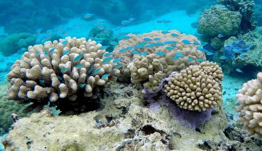 Bora Bora: 3.5-Hour Lagoon Boat Tour with Snorkeling - Practical Details and Tips