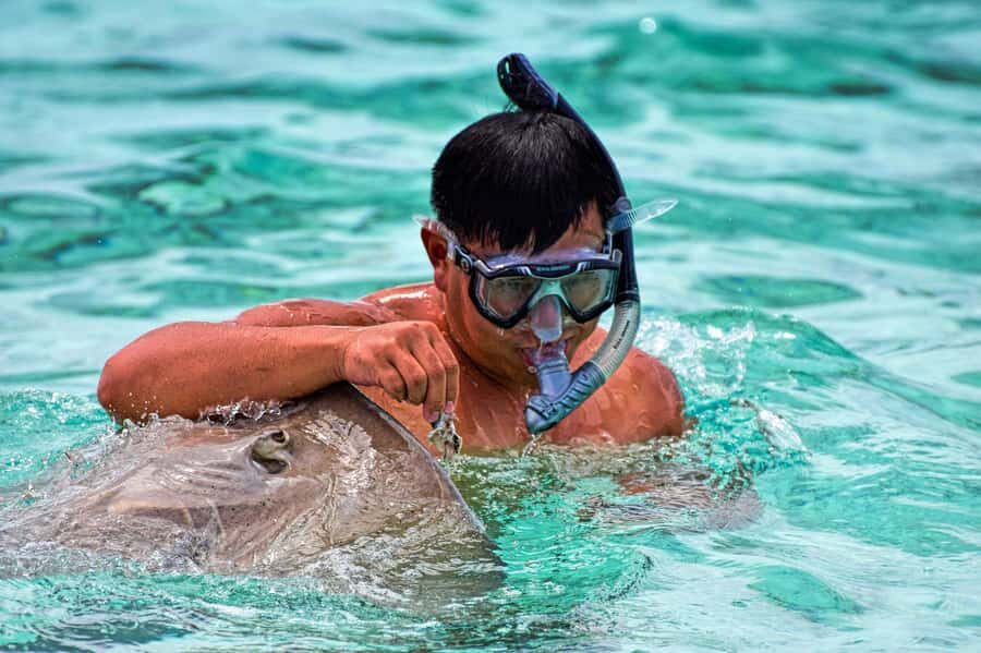 Bora Bora: 4x4 Safari with Snorkelling Combo Tour - Underwater Excursions: Snorkeling with Sharks and Rays