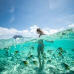 Bora Bora: Eco Shark and Snorkeling Safari - Why This Tour Works Well