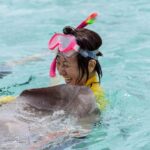 Bora Bora: Full-Day Lagoon Snorkelling Tour - Practicalities: What You Need to Know