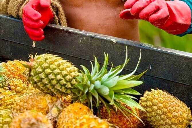 Bora Bora Gourmet Odyssey - Food Tour - The Sum Up