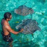 Bora Bora Half Day Snorkeling - Itinerary Breakdown