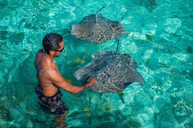 Bora Bora Half Day Snorkeling - Itinerary Breakdown