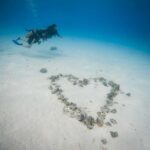 Bora Bora: Romantic Dive for Two People (Beginners) - What Makes This Tour Special