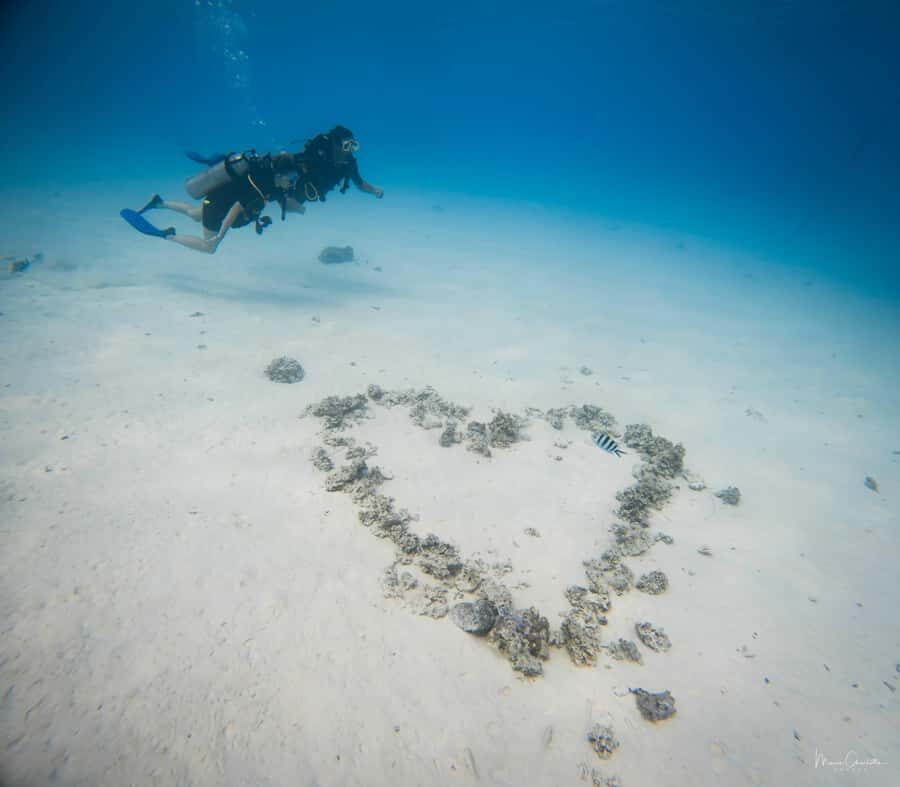 Bora Bora: Romantic Dive for Two People (Beginners) - What Makes This Tour Special