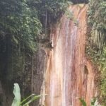 Botanical Garden Exploration - The Sum Up