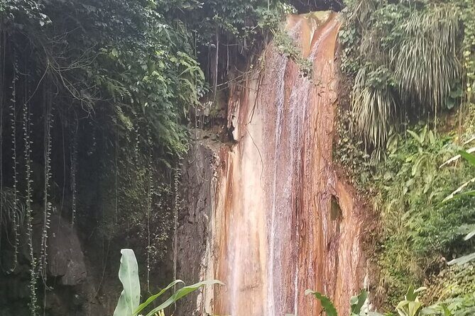 Botanical Garden Exploration - The Sum Up