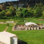 Bowral: Honey Tasting and Hive Opening with Morning Tea - A Closer Look at the Bowral Honey Tasting and Hive Opening Tour