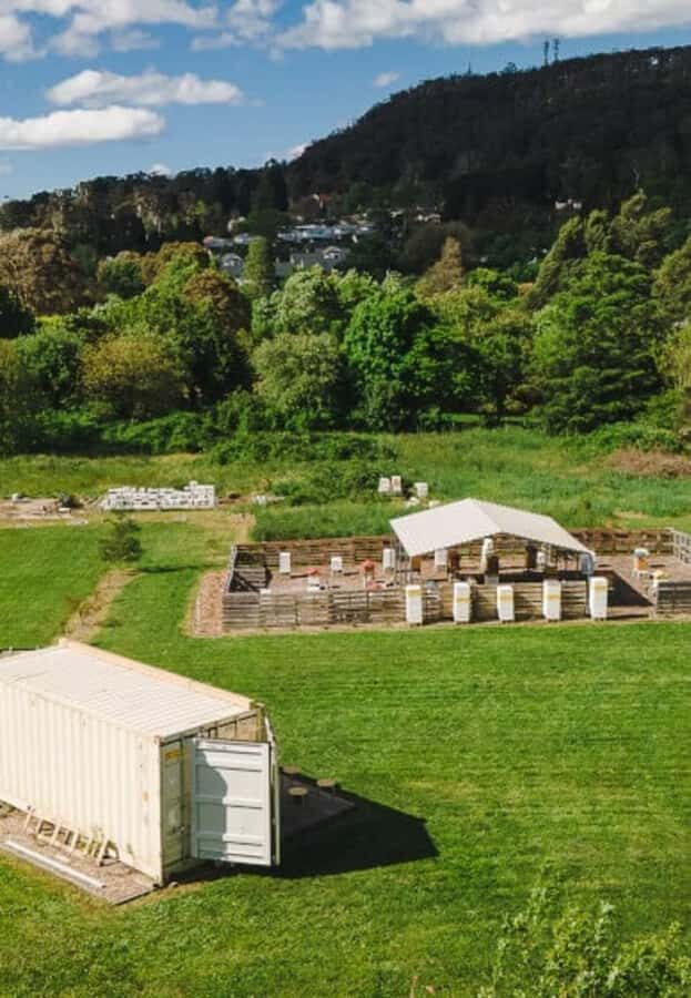 Bowral: Honey Tasting and Hive Opening with Morning Tea - A Closer Look at the Bowral Honey Tasting and Hive Opening Tour