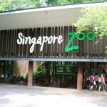 Breakfast In the Wild at Singapore Zoo Promo - Authentic Insights from Reviews