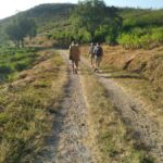 Breathe in Malinos Fresh Air & Explore the Flower City - Takapala Waterfall: A Natural Gem