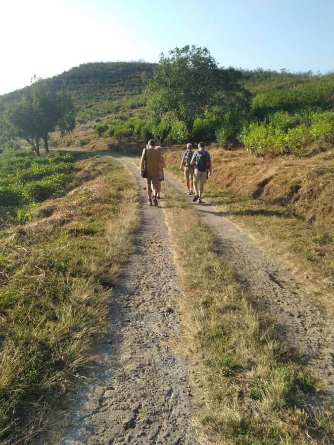 Breathe in Malinos Fresh Air & Explore the Flower City - Takapala Waterfall: A Natural Gem