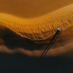 Breathtaking Mui Ne Sand Dunes Jeep Tour with Lovely Local Guide - What Makes This Tour Stand Out?