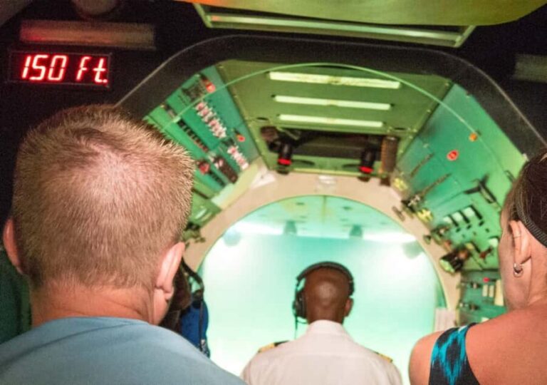 Bridgetown: Submarine Guided Night Tour - Who Is This Tour Perfect For?
