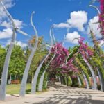Brisbane : City Highlights Private Walking Tour - The Experience of a Guided Walk