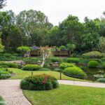 Brisbane Insights Tour - What Reviewers Say