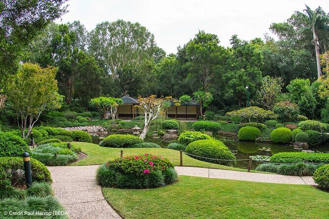 Brisbane Insights Tour - What Reviewers Say