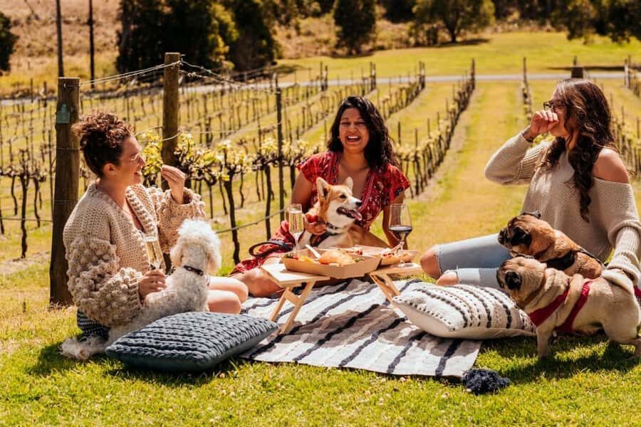 Brisbane: Picnic in the Vines - What to Expect on the Day