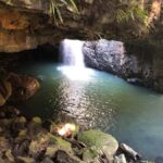 Brisbane: Springbrook and Mt Tamborine Glow Worm and Skywalk - Practical Details and Tips