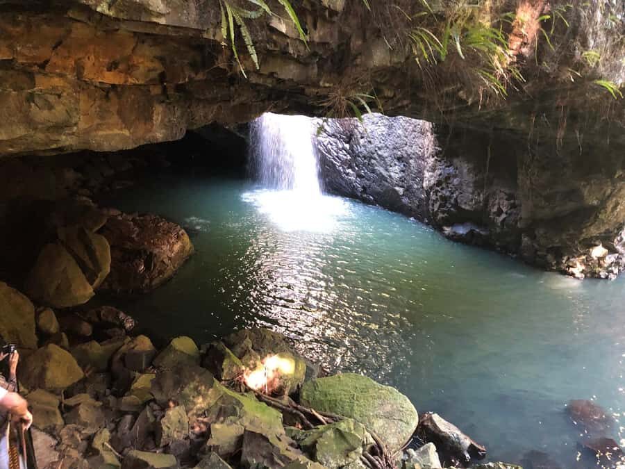Brisbane: Springbrook and Mt Tamborine Glow Worm and Skywalk - Practical Details and Tips
