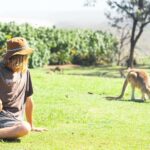 Brisbane: Stradbroke Island Eco Tour - Small Group, Full Day - The Real Value of the Tour