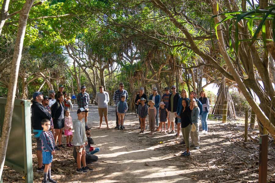 Broken Head Aboriginal Tour - An Overview of the Tour Experience