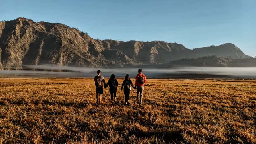 Bromo Sunrise & Madakaripura Waterfall Private 1 Day Tour - Transportation & Logistics: What It Means for You