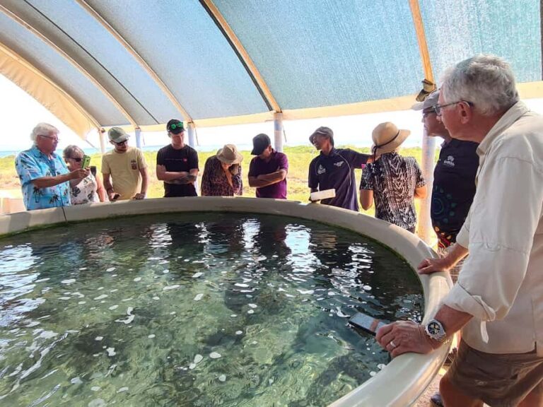 Broome: Dampier Peninsula Tour (Optional Scenic Flight) - Optional Scenic Flight: An Aerial Perspective on the Coastline