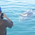 Broome: Whale Watching & Sunset Cruise - Who Will Love This Experience?