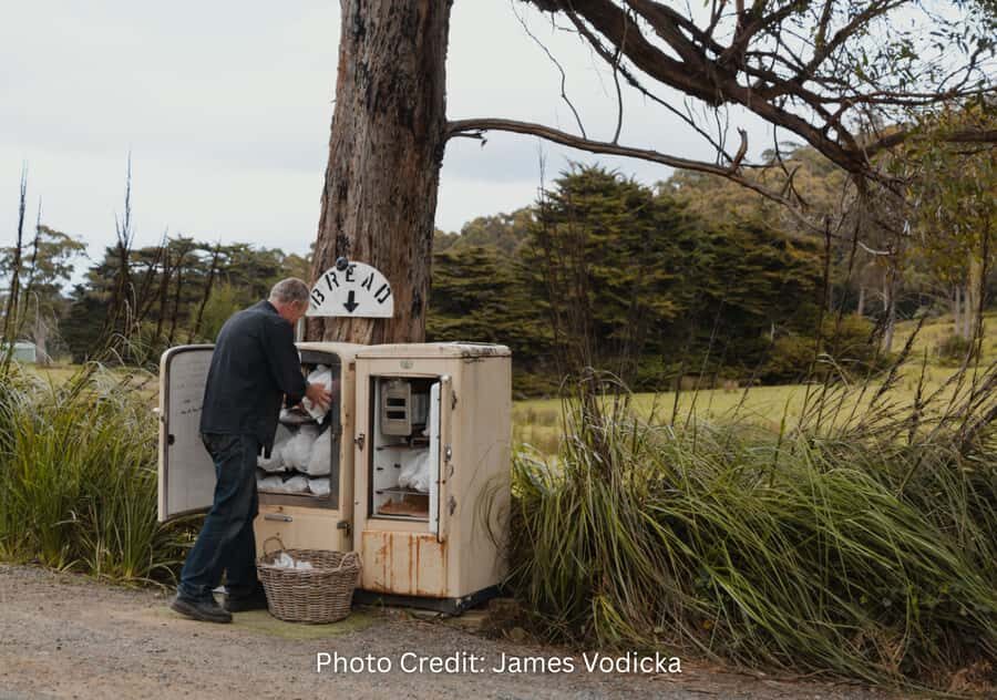Bruny Island: Guided Sightseeing Tour (8hr Private Tour) - Transport & Comfort