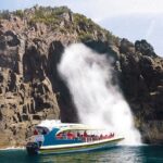 Bruny Island Wilderness Cruise from Adventure Bay, Bruny Island - Final Thoughts
