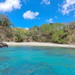 Buccoo Reef and Nylon Pool Adventure - Final Thoughts - Is It Worth It?